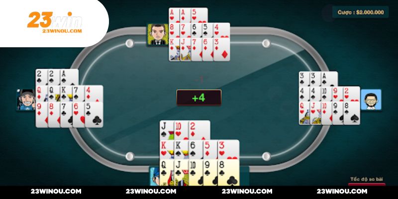 Thứ tự sắp xếp các chi một cách khoa học